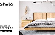 Shiito PT