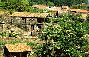 Chiqueiro